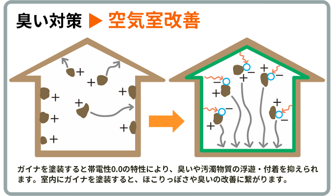 ガイナの臭い対策